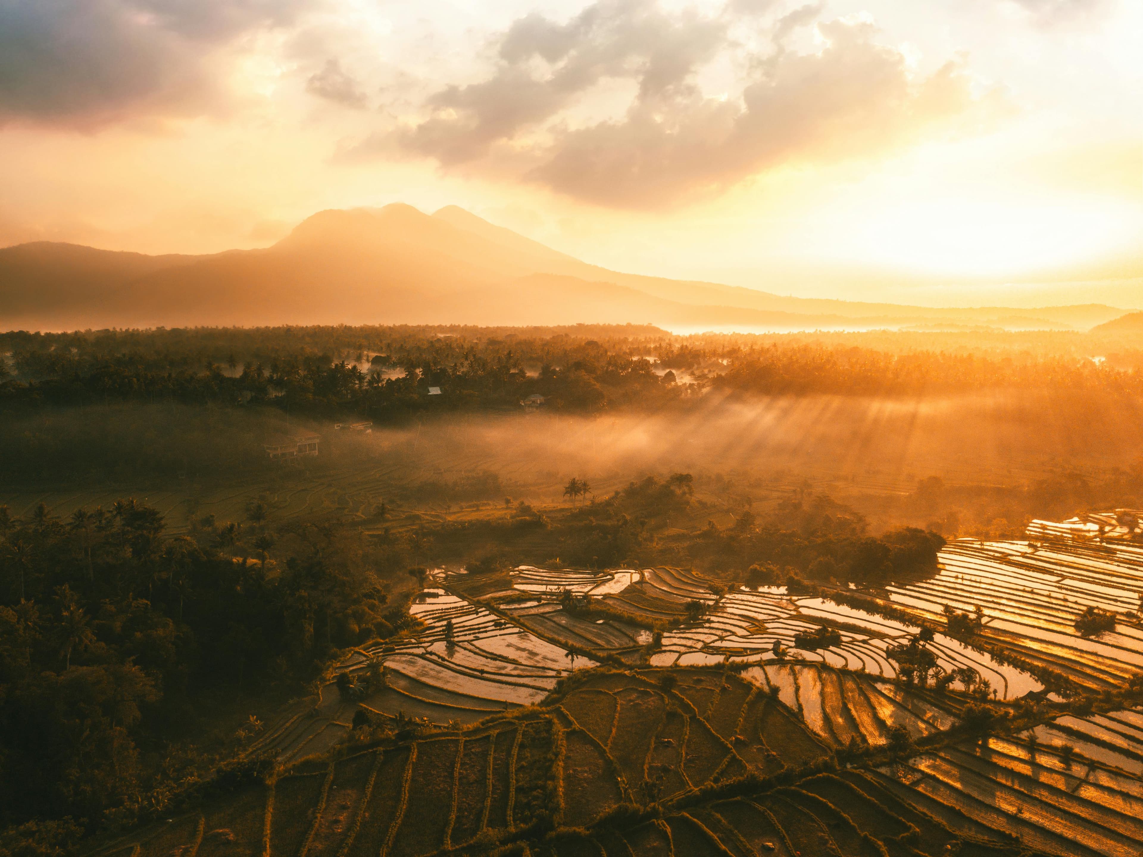 Bali